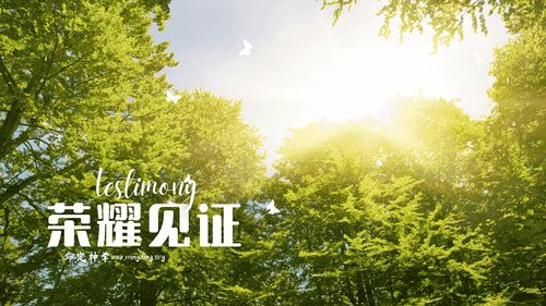 【见证集】- 20240121